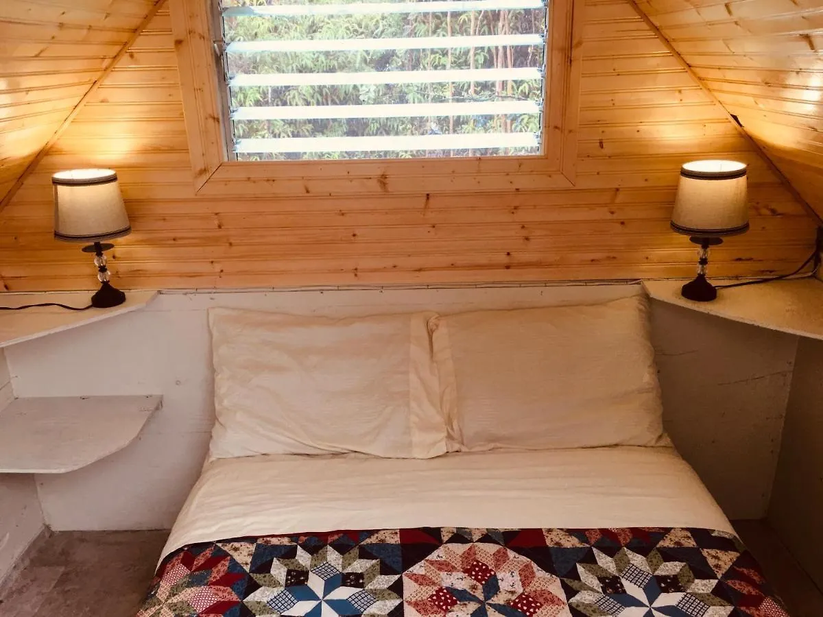#1 Cabin Tiny House With Kitchen Equipped With Essentials Near At The Volcano Park Pahoa 0*,  United States